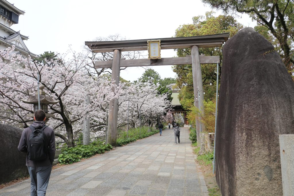 桜と鳥居