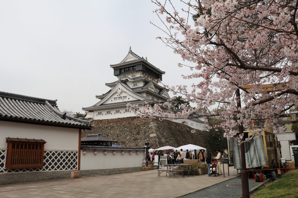 小倉城と桜